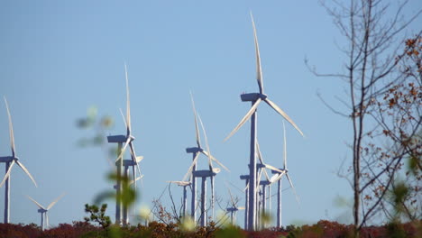 Teleaufnahme-Von-Windkraftanlagen,-Die-An-Einem-Sonnigen,-Klaren-Herbsttag-Mit-Pflanzen-Im-Vordergrund-In-Betrieb-Sind