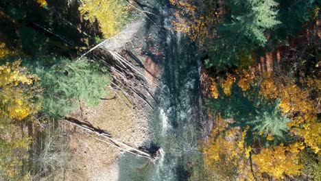 Overhead-drone-shot-of-river-and-forest-in-autumn