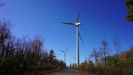 Rear-view-of-wind-turbines-operating-on-a-sunny,-clear-autumn-day