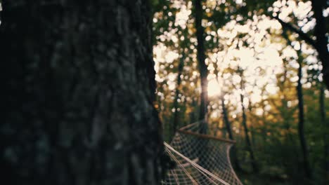 Cinematic-tilt-up-footage-of-a-cotton-rope-hammock-in-the-woods-with-the-sun-shining-through-the-leaves-stabilized