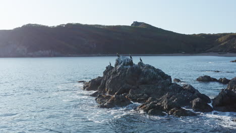 Dark-colored-cormorant-birds-sitting-on-top-of-the-rocks,-with-waves-crushing-on-the-rocks,-in-the-evening