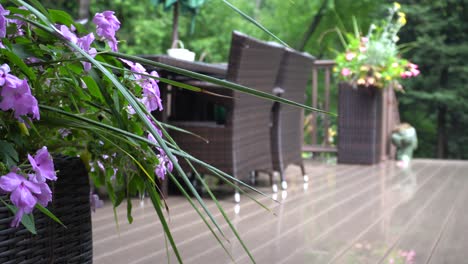 Suburban-deck-with-lush-background-with-warm-look