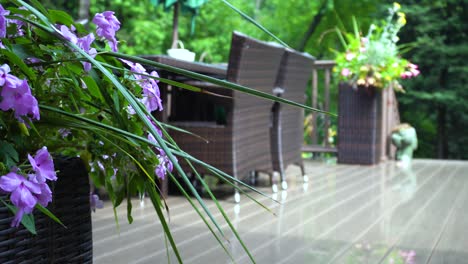 Suburban-deck-with-lush-background
