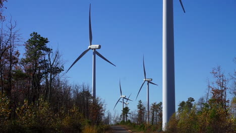 Rear-view-of-wind-turbines-operating-on-a-sunny,-clear-autumn-day