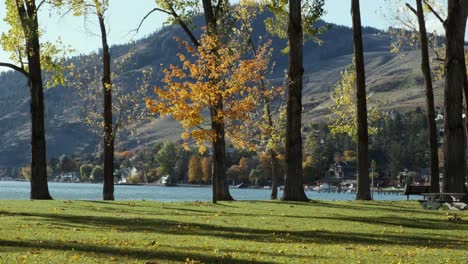 Bright-fall-colours-in-a-lakeside-park,-grassy-hills-in-the-background