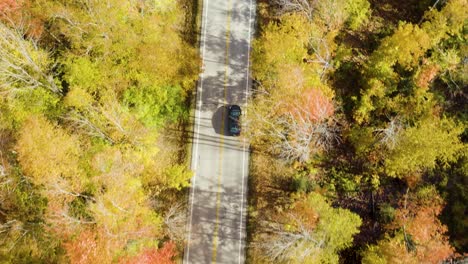 Aerial-following-car-speeding-up-on-road-through-trees-with-fall-foliage