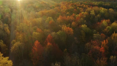Aerial,-sunbeams-over-woods-with-colorful-fall-foliage,-pedestal-up-tilt-down