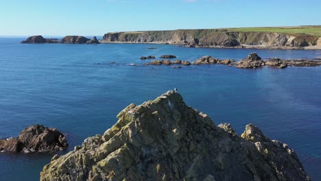 Aerial-orbit-view-of-rocky-outcrop-with-a-seagull-on-top,-clear-blue-water-with-sun-reflecting-along-the-South-Coast-of-Ireland
