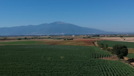 Revealing-drone-shot-of-a-mountain-and-fields-over-a-green-summer-field-in-Northern-Greece