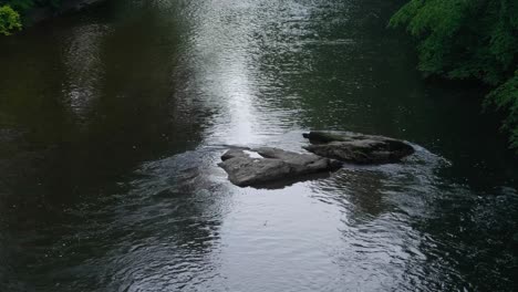 Water-flows-calmly-around-rock-in-Wisshaickon-Creek