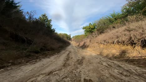 Point-of-View-while-driving-on-a-tree-lined-dirt-road-on-a-farm-in-rural-Iowa