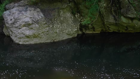 Ruhiges-Wasser-Fließt-Durch-Steine-Am-Wissahickon-Creek