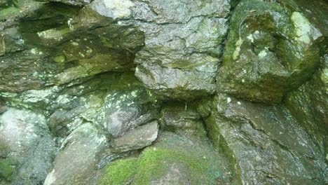 Wasser-Tropft-über-Steine-Entlang-Des-Wissahickon-Creek