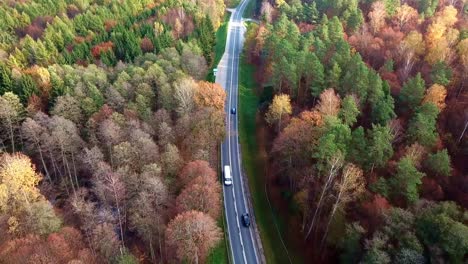 Luftaufnahme-Eines-Autos,-Das-Auf-Der-Straße-In-Einem-Farbenfrohen-Herbstwald-Fährt