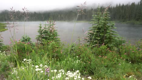 A-slow-moving-mist-over-a-calm-lake-surrounded-by-trees-and-wildflowers
