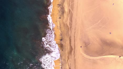 Top-down-aerial-drone-view-of-people-walking-on-colorful-tropical-hot-sunny-beach,-Gran-canaria,-Canary-islands