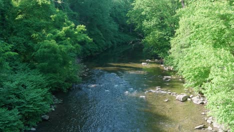 Ruhiges-Wasser-Fließt-Durch-Bäume-Am-Wissahickon-Creek