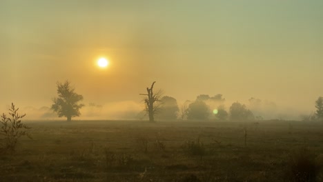 Shot-of-morning-mist-over-open-field-at-sunrise