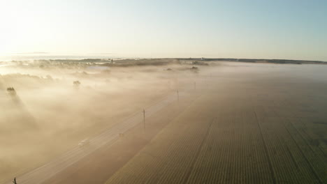 Cars-on-a-country-road-covered-in-light-morning-fog