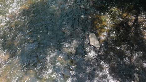 Wasser-Fließt-über-Steine-In-Wissahickon-Creek