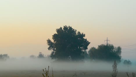 Shot-of-morning-mist-over-open-field-at-sunrise