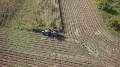 Aerial-shot-of-tractor-filling-up-trailer-with-biomass-from-corn,-harvesting-field