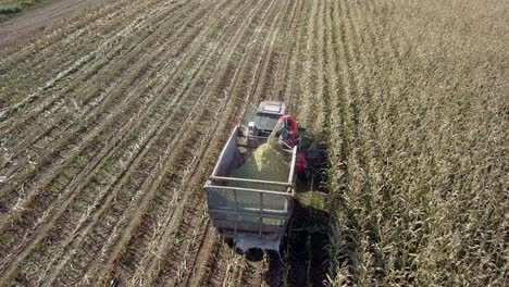 Closeup-aerial-view-of-tractor-harvesting-corn-field---filling-trailer-with-biomass