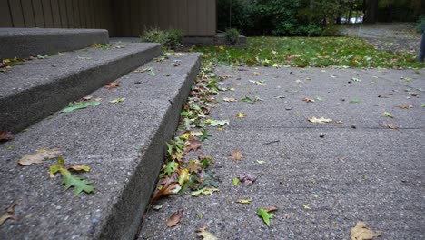 Track-of-freshly-fallen-leaves-rustling-across-a-cement-patio