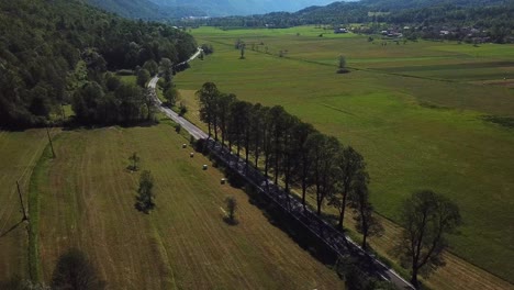 Toma-De-Un-Dron-Delantero-De-Una-Carretera-Rodeada-De-Campos-Y-árboles,-Cerca-De-Kobarid,-Eslovenia