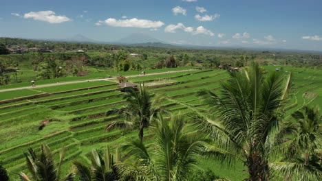 Bali-Indonesien-Panoramische-Luftaufnahme-Auf-Reisterrassenfeldern-In-Der-Insellandschaft-An-Heißen-Feuchten-Sommertagen