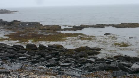 Cloudy-Day-on-Flat-Rocky-Ocean-Shore-Line