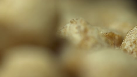 Pet-food-macro-shot-with-extreme-rack-focus-isolated-filling-the-frame