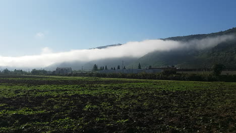 Vista-Panorámica-De-Un-Campo-De-Trigo-Temprano-Con-Montañas-Cubiertas-De-Niebla-En-El-Fondo