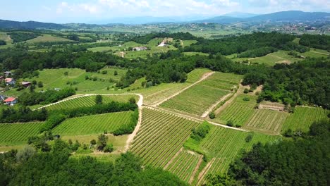 Forward-drone-shot-above-italian-vineyards,-surrounded-by-trees
