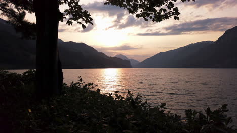 Sonnenuntergang-Am-Schweizer-Walensee-Mit-Bäumen-Im-Vordergrund,-Schweizer-Bergen-Im-Hintergrund,-Gefüllt-Mit-Dem-Warmen-Licht-Der-Untergehenden-Sonne