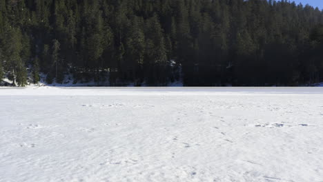 Aerial-shot-at-very-low-altitude-over-frozen-lake-in-the-black-forest