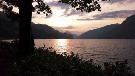 Zeitlupe:-Sonnenuntergang-Am-Schweizer-Walensee-Mit-Bäumen-Im-Vordergrund,-Schweizer-Berge-Im-Hintergrund,-Gefüllt-Mit-Dem-Warmen-Licht-Der-Untergehenden-Sonne
