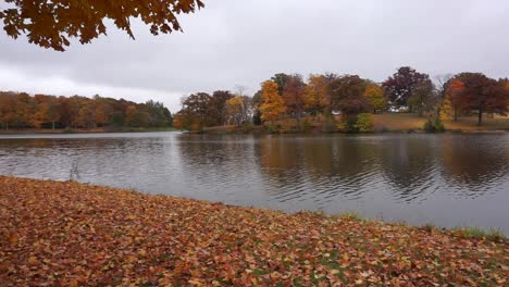 Herbst-Am-See---Laubfall---Leuchtende-Farbe