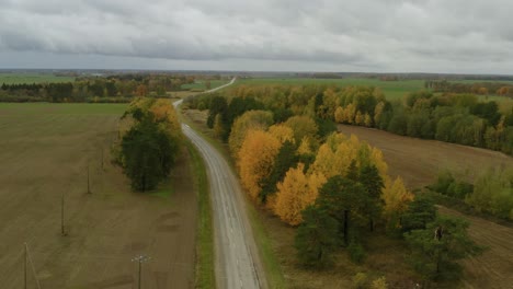 The-Beautiful-Golden-Autumn-Landscape-By-The-Main-Road-In-Latvia---Aerial-Shot