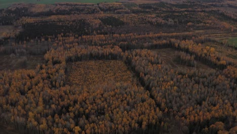 Wunderschöne-Aufnahmen-Vom-Ruhigen-Und-Hellen-Goldenen-Herbst-In-Lettland---Luftaufnahme