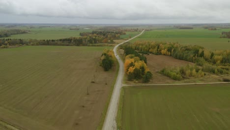 Die-Natürliche-Goldene-Schönheit-Der-Landschaft-An-Der-Hauptstraße-Von-Lettland-An-Einem-Bewölkten-Tag-Im-Herbst---Luftaufnahme