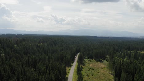 Wonderful-Footage-of-Long-Road-With-Tall-Pine-Trees-At-Tatra-Mountain-in-Pribylina,-Slovakia---Aerial-shot