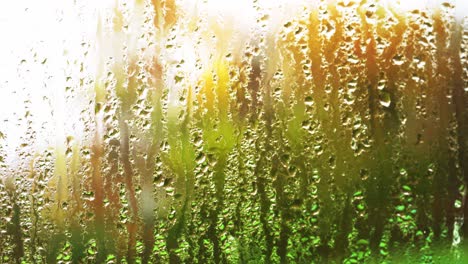 Regen-Bedeckte-Fenster-An-Einem-Kalten-Herbsttag