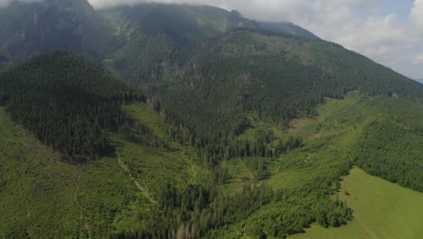 Aerial:-Forest-Trees-and-Pasture-in-Mountain-Summit-Landscape