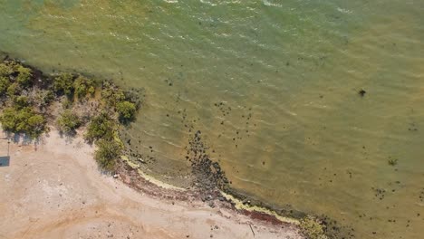 Looking-Down-aerial-drone-shot-of-a-coastline-shore-in-saudi-arabia-of-red-sea