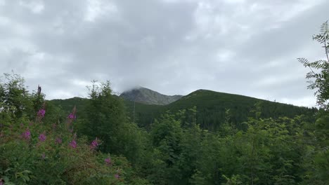 A-Beautiful-Wide-View-of-Krivan-Peak-in-Slovakia-With-Flowers,-Glorious-Trees-and-Cloudy-Sky---Wide-Shot