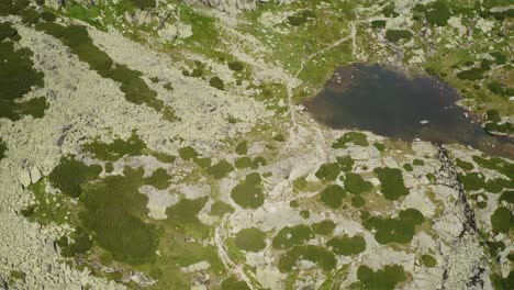Schöne-Aufnahmen-Eines-Hohen-Tatra-tals-In-Der-Nähe-Von-Vodopad-Skok-In-Der-Slowakei---Rollender-Schuss