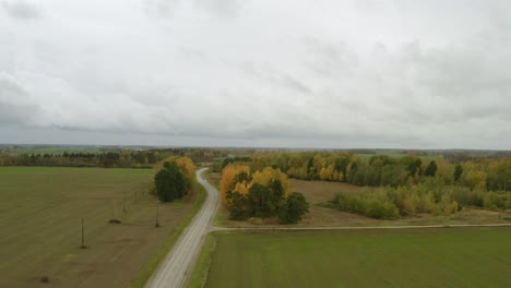Vista-De-Pájaro-Del-Otoño-Dorado-En-Letonia-Con-La-Naturaleza-Escénica-Del-Cielo-Blanco-Claro---Toma-Aérea