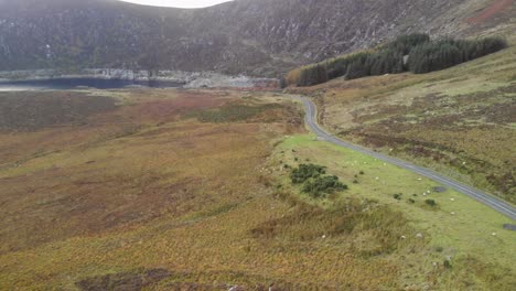 Rural-mountainous-area-with-sheep-in-Ireland