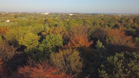 Luftaufnahme-Von-Bunten-Bäumen-An-Einem-Sonnigen-Herbsttag-Mit-Ein-Wenig-Dunst-In-Der-Luft